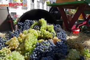 Erntedankfest 2015