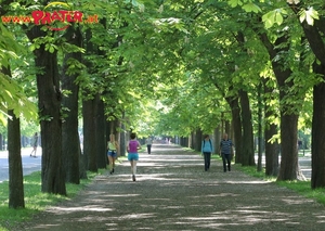 Lusthaus  Grüner Prater