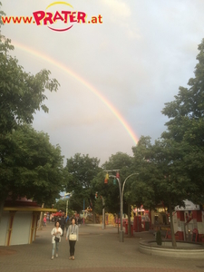 Regenbogen