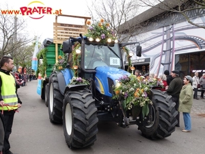 Blumencorso 2016