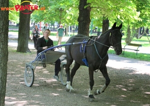 Lusthaus  Grüner Prater