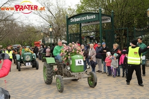 Blumencorso 2016