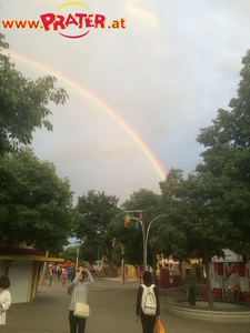 Regenbogen