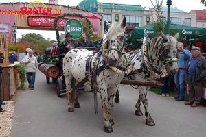 Wiesn-2015