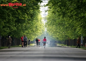 Weg in den Prater