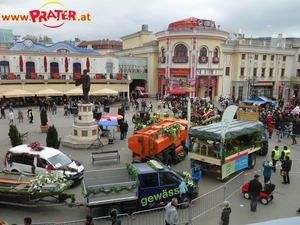 Blumencorso 2016