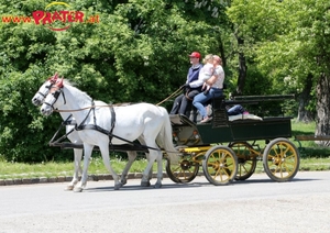 Lusthaus  Grüner Prater