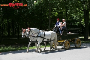 Lusthaus  Grüner Prater