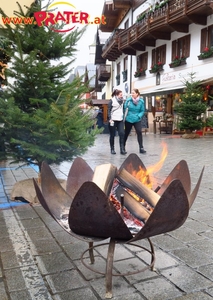 <Salzburger Adventsingen