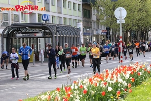 Vienna City Marathon 2017