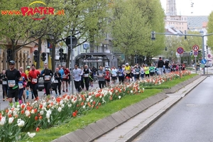 Vienna City Marathon 2017