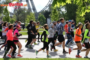 Vienna City Marathon 2017