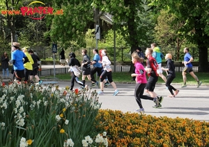 Vienna City Marathon 2017