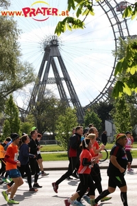 Vienna City Marathon 2017