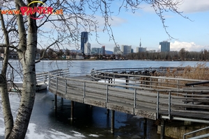 Alte Donau
