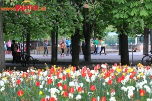 Vienna City Marathon 2017