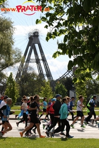 Vienna City Marathon 2017