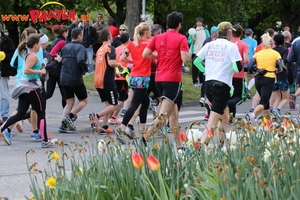 Vienna City Marathon 2017