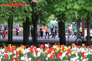 Vienna City Marathon 2017