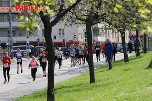 Vienna City Marathon 2017