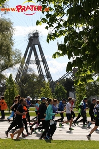 Vienna City Marathon 2017