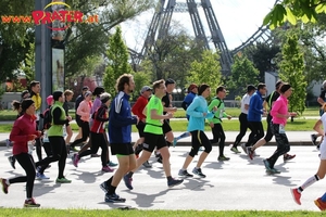 Vienna City Marathon 2017