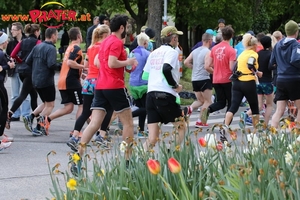 Vienna City Marathon 2017