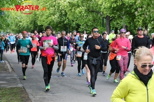 Vienna City Marathon 2017