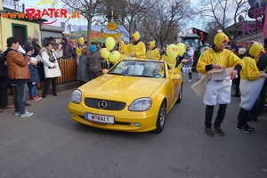 Faschingsumzug 2017