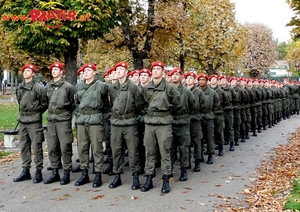 Bundesheer