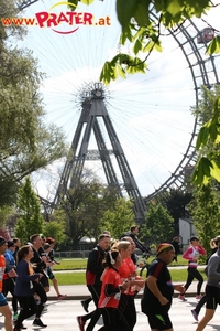 Vienna City Marathon 2017