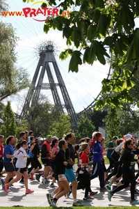 Vienna City Marathon 2017