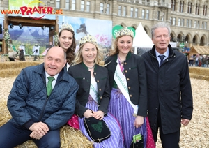 Steiermark in Wien