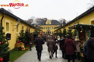 <Salzburger Adventsingen