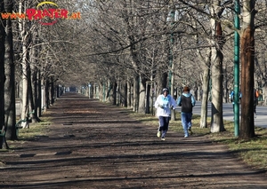 Weg zum Prater