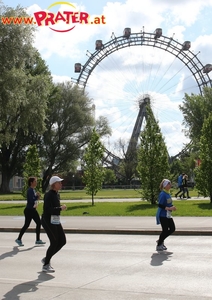 Vienna City Marathon 2017