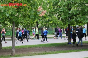 Vienna City Marathon 2017