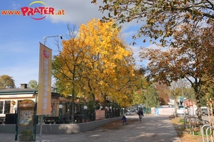 Herbst im Prater