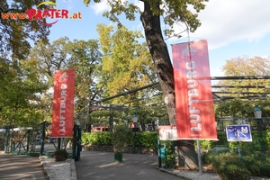 Herbst im Prater