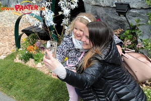 Steiermark Frühling in Wien