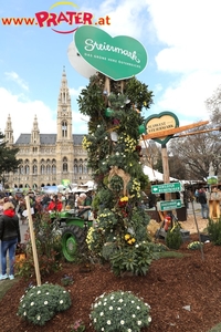 Steiermark Frühling in Wien