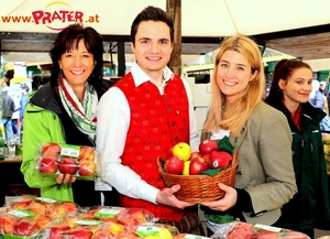 Steiermark Frühling in Wien