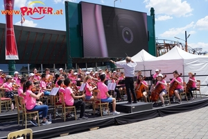 Suzuki Orchestra Canada