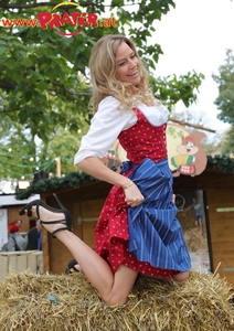 Wiener Wiesn 2017