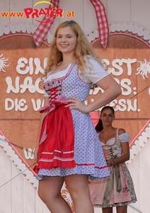 Wiesn Senioren