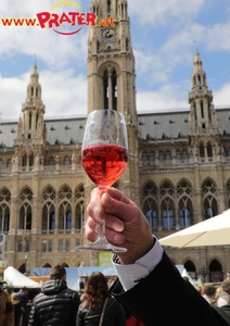 Steiermark Frühling in Wien
