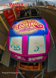 Olympia Looping