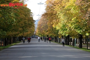 Herbst im Prater