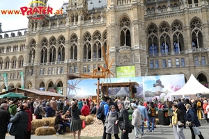 Steiermark Frühling in Wien