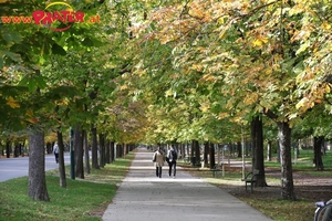 Herbst im Prater